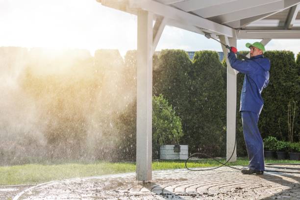 Best House Exterior Washing  in Pascagoula, MS